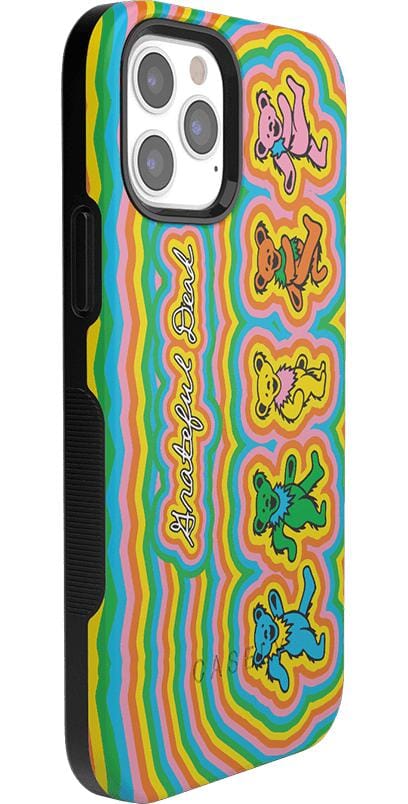 In the Groove | Grateful Dead Dancing Bears Case