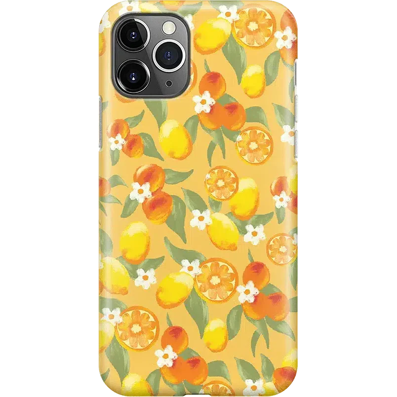 Positano | Dippin' Daisy's Italian Coast Case iPhone Case get.casely Classic iPhone 11 Pro Max 