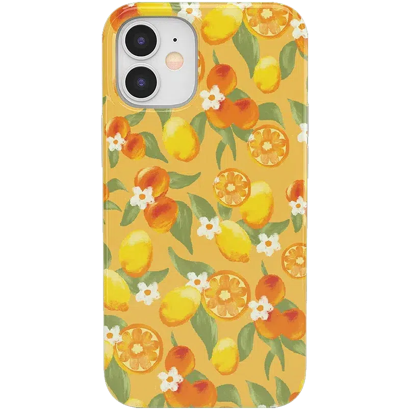 Positano | Dippin' Daisy's Italian Coast Case iPhone Case get.casely Classic iPhone 12 