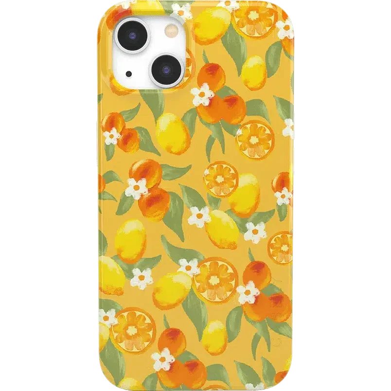 Positano | Dippin' Daisy's Italian Coast Case iPhone Case get.casely Classic iPhone 13 Mini 