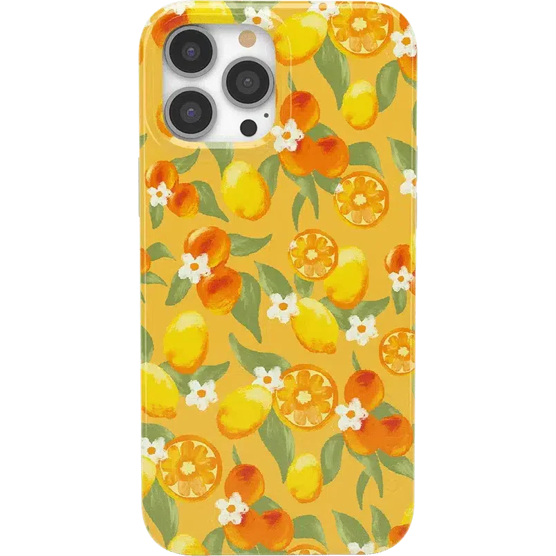 Positano | Dippin' Daisy's Italian Coast Case iPhone Case get.casely Classic + MagSafe® iPhone 13 Pro Max 